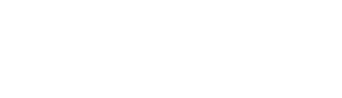 logo icon